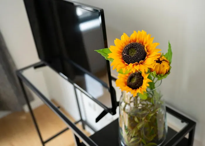 Affittacamere Bonjardim