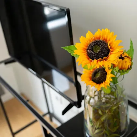 בית הארחה Bonjardim